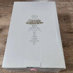 Nike Like new LeBron Strive collectors box Nike White and Gold Strive